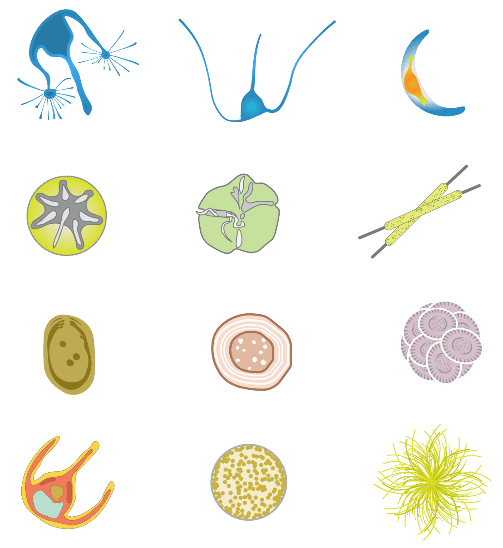 Botany, Organism, Font